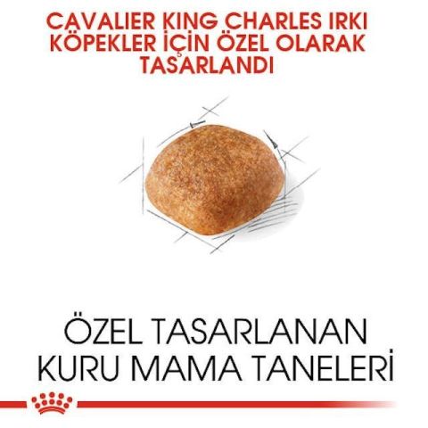 Royal Canin Cavalier King Charles Yetişkin Köpek Maması 1,5 Kg 5 Kg