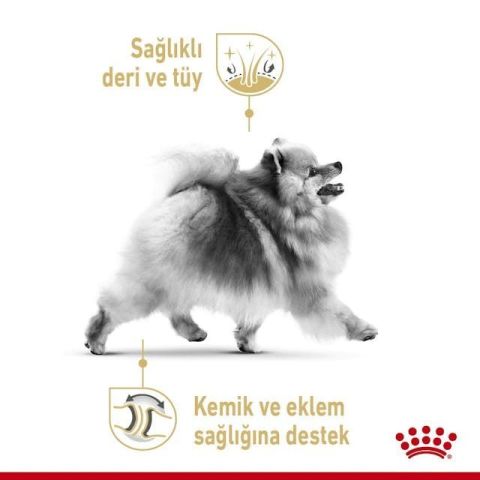 Royal Canin Pomeranian Yetişkin Köpek Maması 1,5 Kg 5 Kg