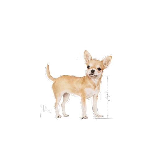 Royal Canin Chihuahua Adult Pouch Konserve Köpek Maması  85gr