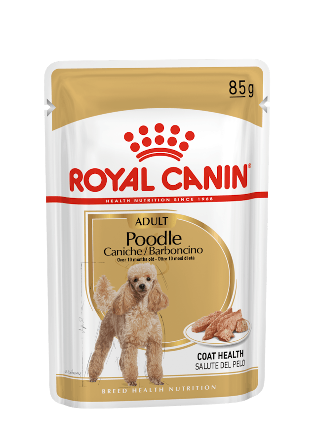 Royal Canin Poodle Adult Pouch Konserve Köpek Maması 12 Adet