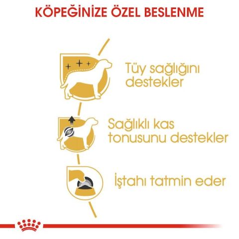 Royal Canin Poodle Adult Pouch Konserve Köpek Maması 12 Adet