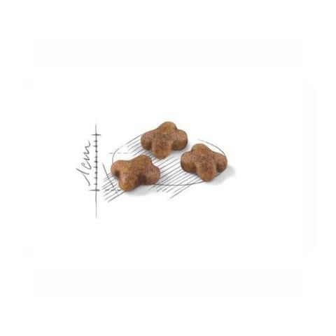Royal Canin Kitten Yavru Kedi Maması 2 kg + 2 Adet Royal Canin Kitten Yaş Mama Hediyeli