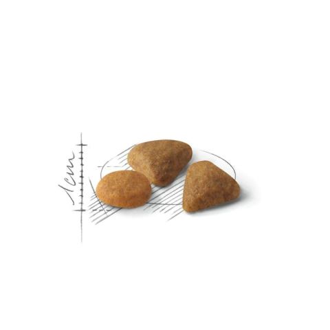 Royal Canin Exigent Savour Seçici Yetişkin Kedi Maması 4 Kg