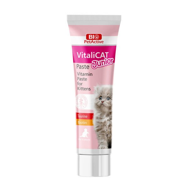 Vi̇tali̇cat Paste Junior (Yavru Kedi̇ler İçi̇n Vi̇tami̇n Paste) 100 Ml