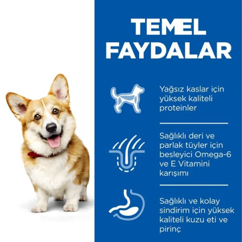 Hills Adult Small Küçük Irk Kuzulu Yetişkin Köpek Maması 5+1 Kg