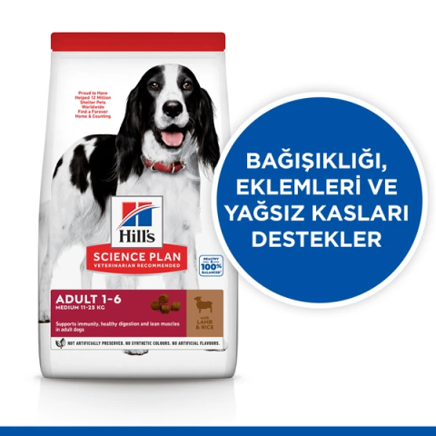 Hills Kuzu Etli Orta Irk Yetişkin Köpek Maması 12+2 Kg Hediyeli