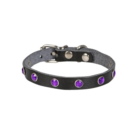 Cattie Gerçek Deriden Taşlı Kedi Boyun Tasması 1X20-23CM