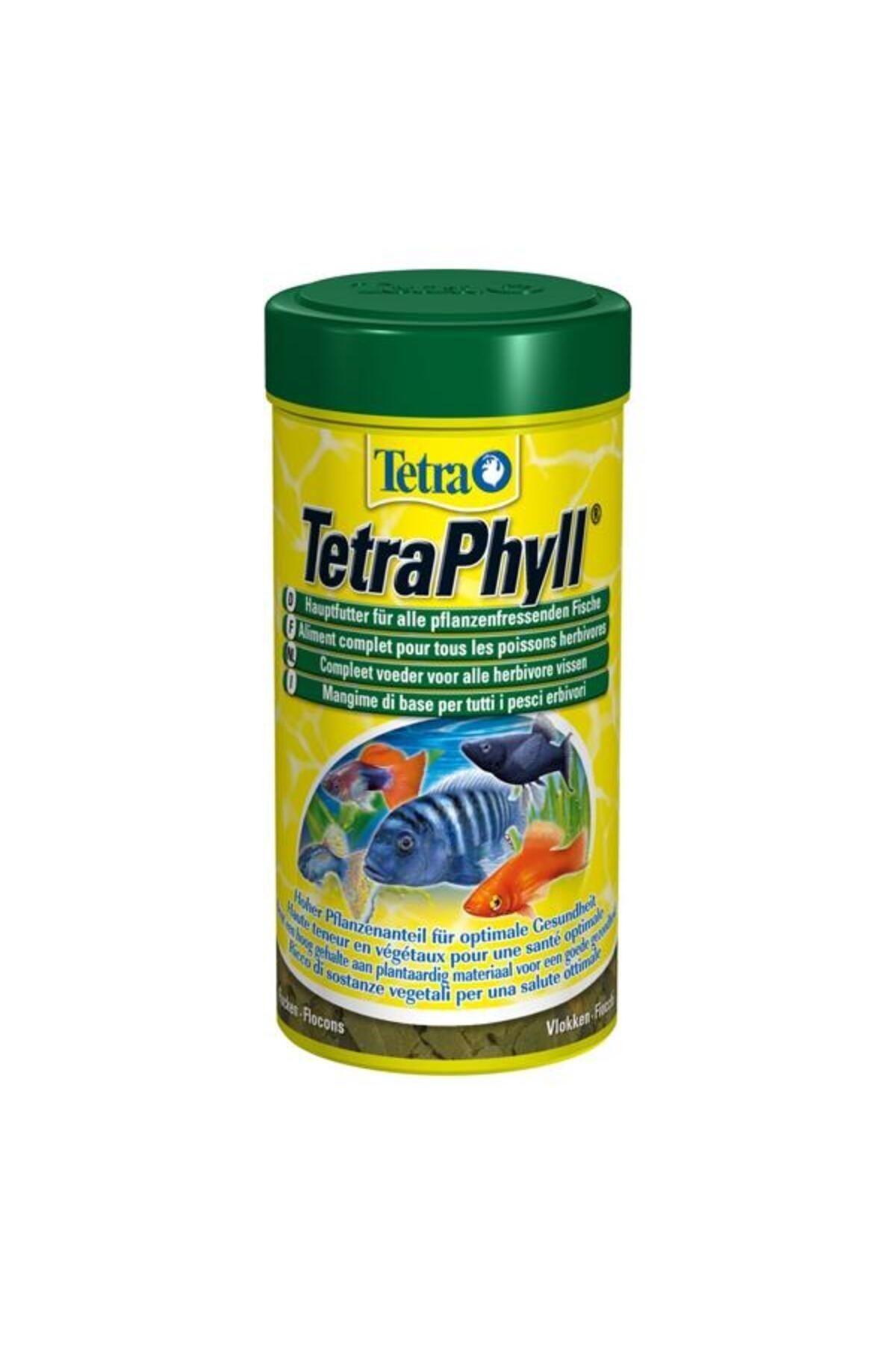 Tetra Phyll Bitkisel Pul Yem 250ml