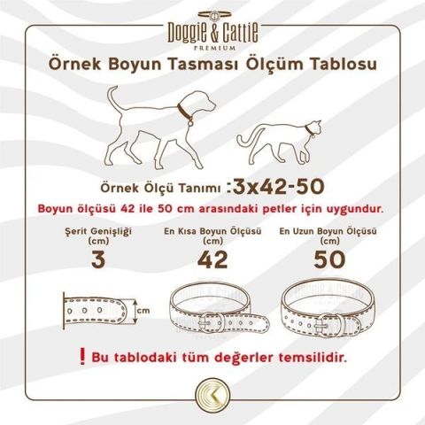 Cattie Gerçek Deriden Taşlı Kedi Boyun Tasması 1x16-20 Cm
