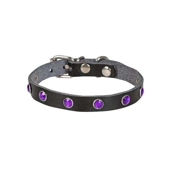 Cattie Gerçek Deriden Taşlı Kedi Boyun Tasması 1x16-20 Cm