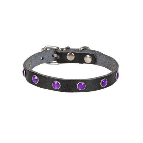 Cattie Gerçek Deriden Taşlı Kedi Boyun Tasması 1x16-20 Cm