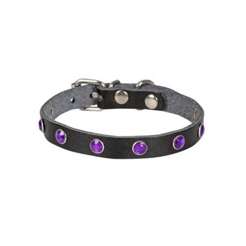 Cattie Gerçek Deriden Taşlı Kedi Boyun Tasması  1x20-23 Cm